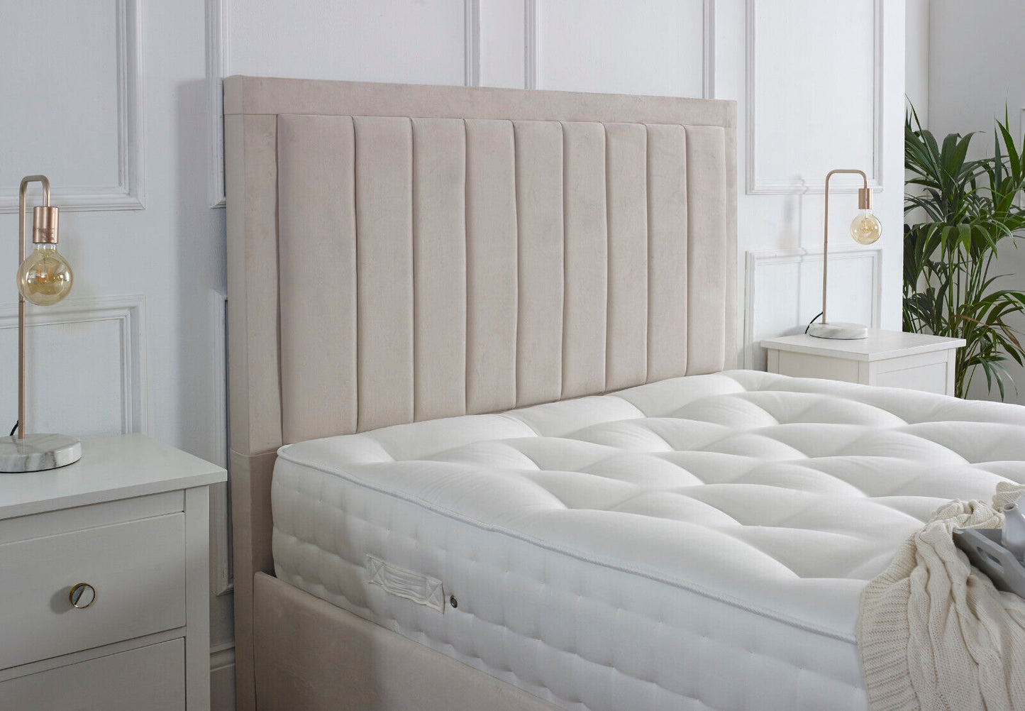 Serene Border Line Bed